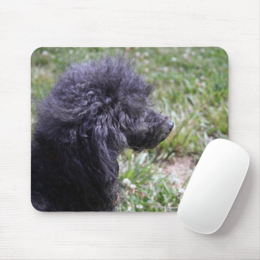 Tapis De Souris Jack T. Poodle (Avec souris)