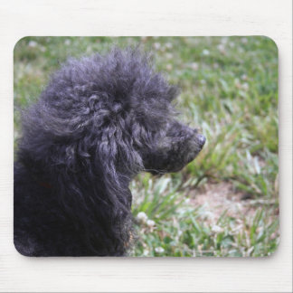 Tapis De Souris Jack T. Poodle