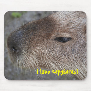 Tapis De Souris J'adore les capybaras