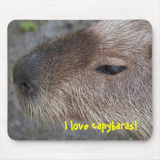 Tapis De Souris J'adore les capybaras (Devant)