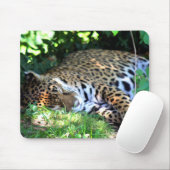 Tapis De Souris Jaguar dormant (Avec souris)