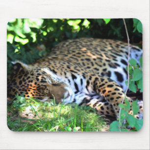 Tapis De Souris Jaguar dormant