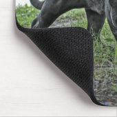 Tapis De Souris Jaguar noir égrappant Mousepad (Coin)