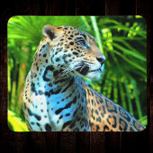 Tapis De Souris Jaguar Photographie Majestic