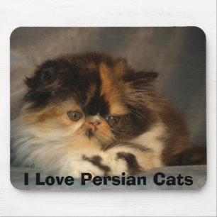 Tapis De Souris J'aime les chats persans