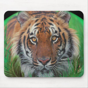 Tapis De Souris J'aime les tigres