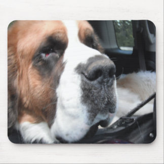 TAPIS DE SOURIS JAKE MOUSEPAD 3 DE ST BERNARD