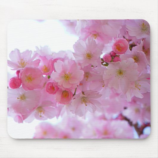 Tapis De Souris Japanese Cherry Tree Flower (Devant)