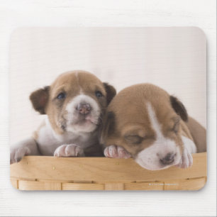 Tapis De Souris Japon