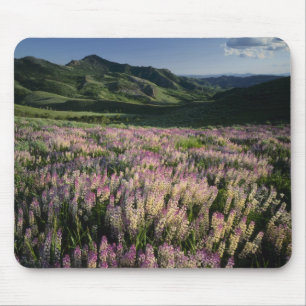 Tapis De Souris Jarbridge Wilderness et Montagnes, Nevada, Éperon
