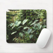 Tapis De Souris Jardin botanique (Avec souris)