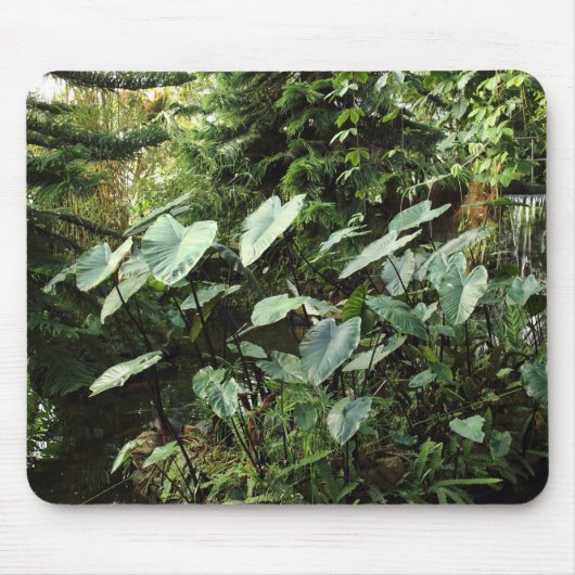 Tapis De Souris Jardin botanique (Devant)