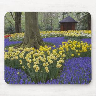 Tapis De Souris Jardin de jonquilles, muscaris et tulipes,