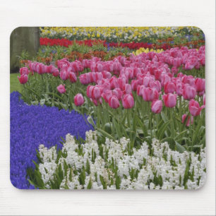Tapis De Souris Jardin de muscaris, de jacinthes et de tulipes,