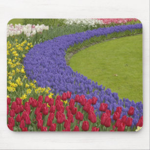 Tapis De Souris Jardin de tulipes, de jacinthes des vignes et de j
