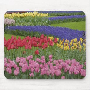 Tapis De Souris Jardin de tulipes, de raisin Hyacinth et