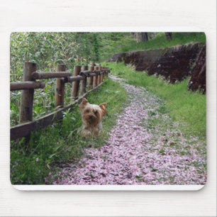 Tapis De Souris Jardin de Yorkshire Terrier Mousepad