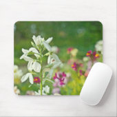Tapis De Souris Jardin des parfums (Avec souris)