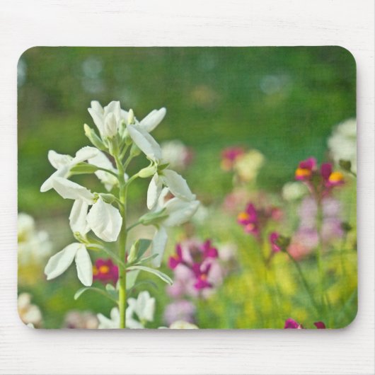 Tapis De Souris Jardin des parfums (Devant)