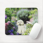 Tapis De Souris Jardin Mousepad de caniche (Avec souris)