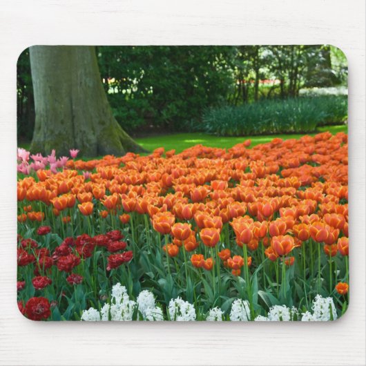 Tapis De Souris Jardin Mousepad de tulipe (Devant)