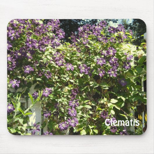 Tapis De Souris Jardin Purple Clematis (Devant)