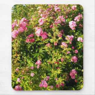 Tapis De Souris Jardin rose en fleurs - Rosarium fleuri