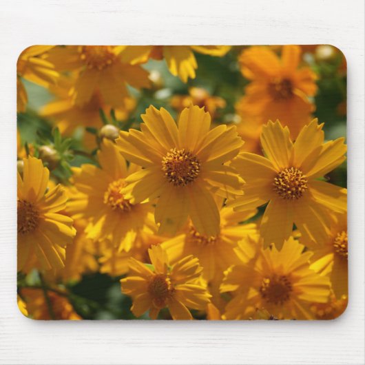Tapis de souris jaune de fleur (Devant)