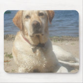 Tapis de souris jaune de labrador retriever (Devant)