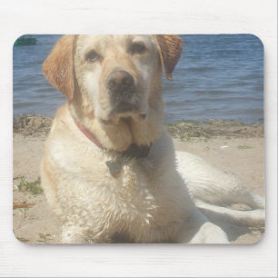 Tapis de souris jaune de labrador retriever