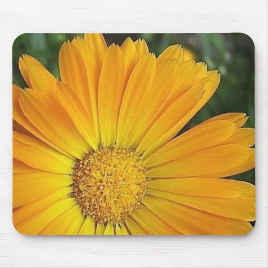 Tapis de souris jaune de marguerite (Devant)