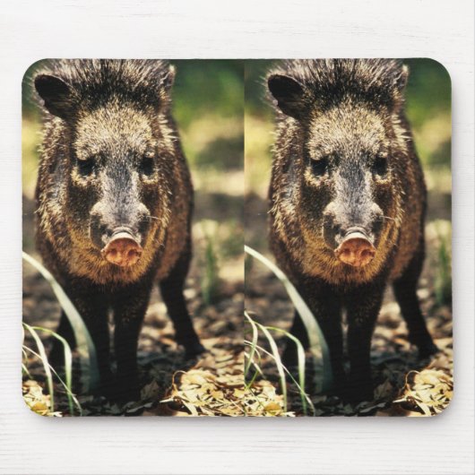 Tapis De Souris Javelina (Devant)