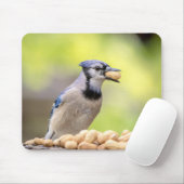 Tapis De Souris Jay bleu avec arachide (Avec souris)