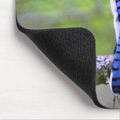Tapis De Souris Jay Bleu dans la forêt par le rayon de lumière (Coin)