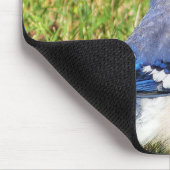 Tapis De Souris Jay bleu du nord (Coin)