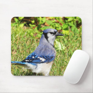 Tapis De Souris Jay bleu du nord