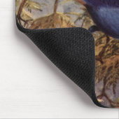 Tapis De Souris Jay de Brooks' Steller (Coin)