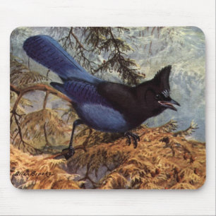Tapis De Souris Jay de Brooks' Steller