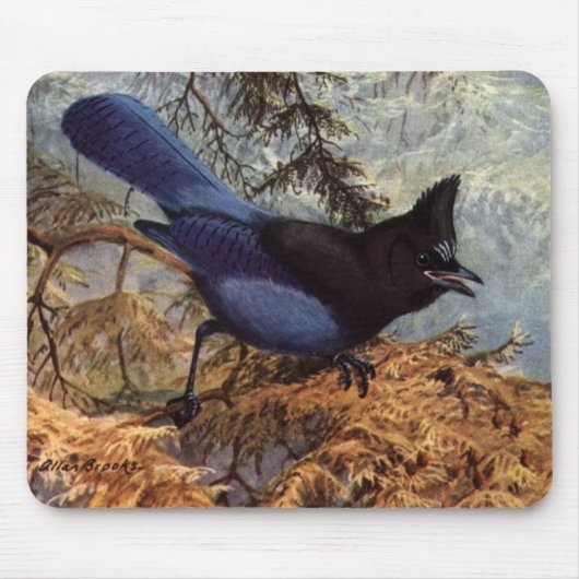 Tapis De Souris Jay de Brooks' Steller (Devant)