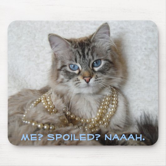 Tapis De Souris Je ? Corrompu ? Naaah. (Devant)