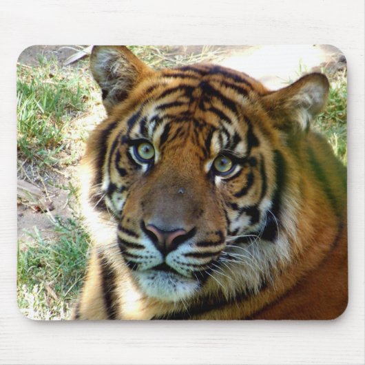 Tapis De Souris Je crois_ Mousepad_par Elenne Boothe (Devant)