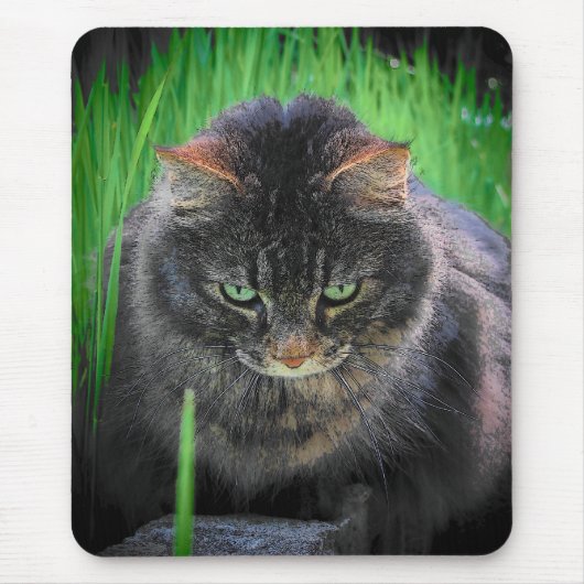 Tapis De Souris Je déteste cette lame d'herbe (Devant)