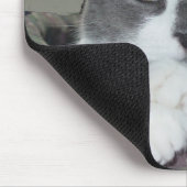Tapis De Souris Je suis chat… (Coin)