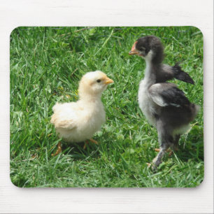 Tapis De Souris Je suis plus sévère que toi