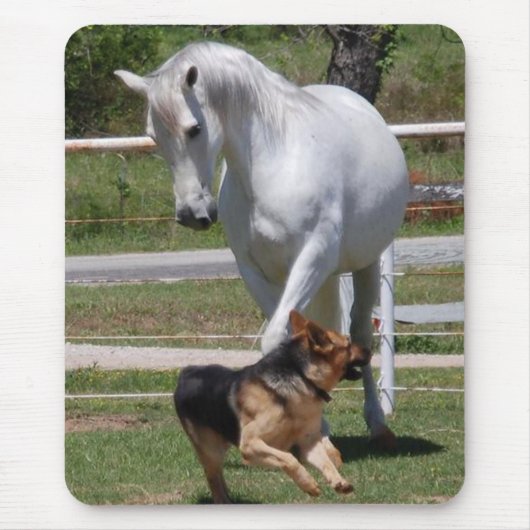 TAPIS DE SOURIS JEU DE CHEVAL ET DE CHIEN (Devant)