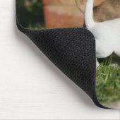 Tapis De Souris Jeu de chiot de chiwawa (Coin)