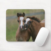 Tapis De Souris Jeu de poulains (Avec souris)