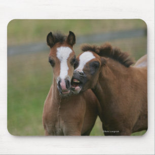 Tapis De Souris Jeu de poulains