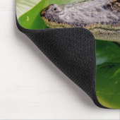 Tapis De Souris Jeune Alligator (Coin)