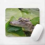 Tapis De Souris Jeune Alligator (Avec souris)